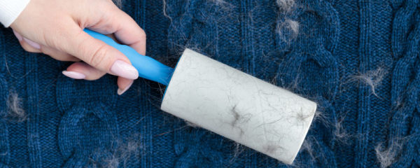 Qu'est-ce qu'une brosse à poil ?