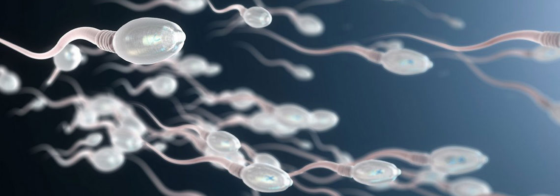 sperm