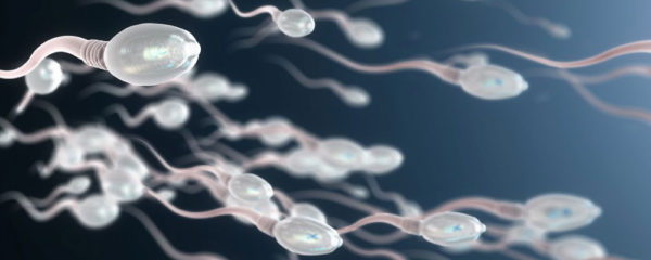 sperm